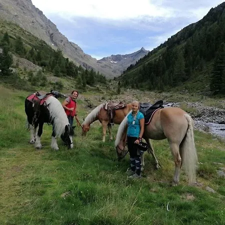Nice Holiday Near Centre